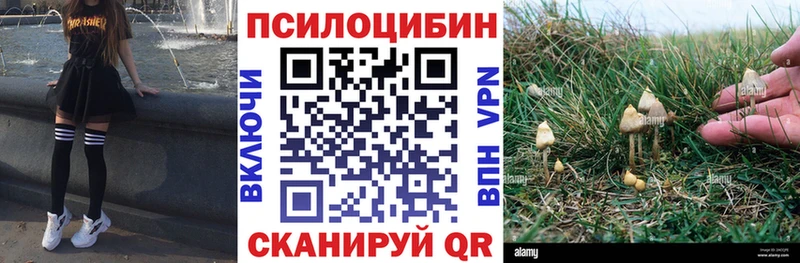 купить   kraken   Галлюциногенные грибы Magic Shrooms  Полысаево 